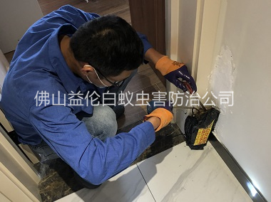 里水住宅白蟻防治工程